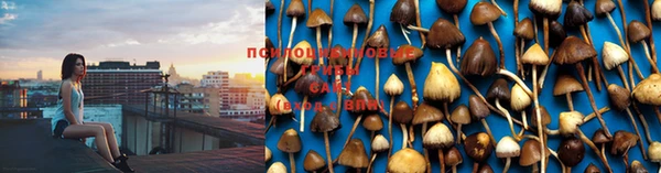 дмт Абинск