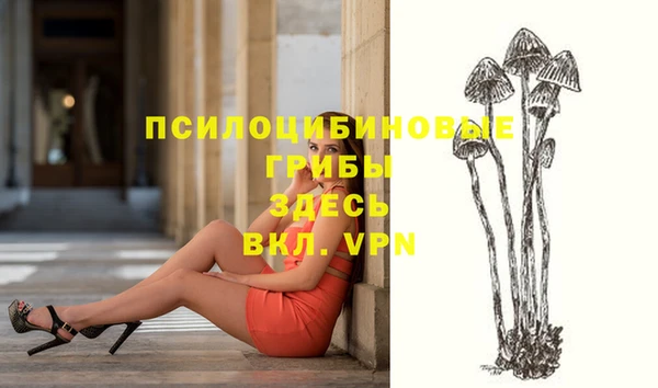 дмт Абинск