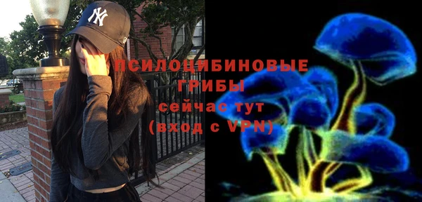 круглые Алзамай