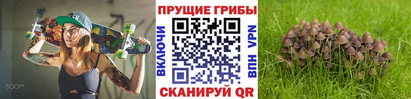 Псилоцибиновые грибы прущие грибы  Калачинск 