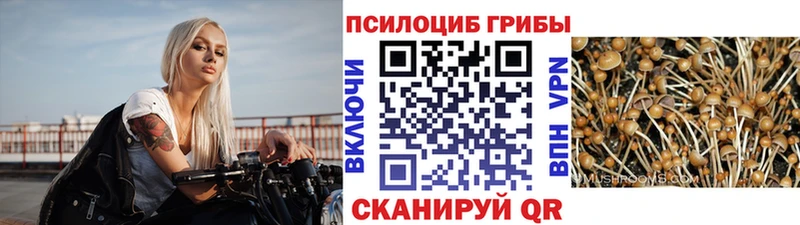 Галлюциногенные грибы прущие грибы Калачинск